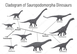 Cladogram of sauropodomorpha dinosaurs. Monochrome vector illustration of  diagram showing relations among sauropods - protosauropoda, sauropoda,  macronaria. Dinosaurs on white background. Stock Vector Image by ©tinki.v  #347710701